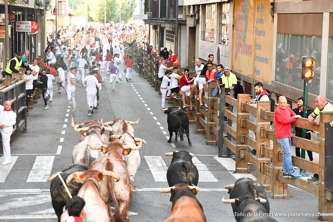 Encierro de Tudela d&iacute;a 26 2025 27