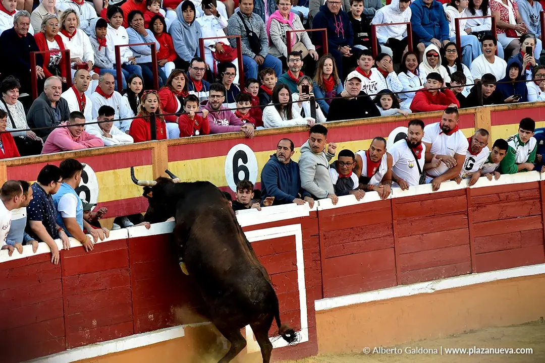 Suelta de vaquillas en Tudela d&iacute;a 26 2025 1