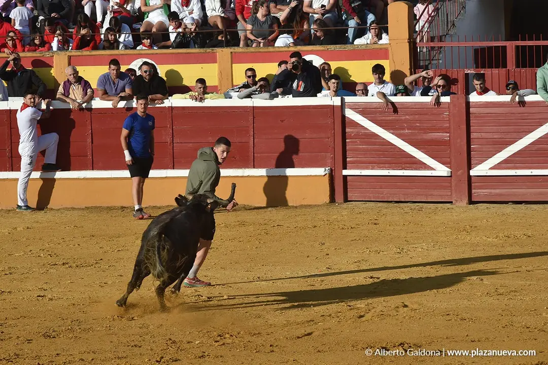 Suelta de vaquillas en Tudela d&iacute;a 26 2025 3