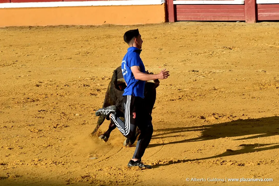 Suelta de vaquillas en Tudela d&iacute;a 26 2025 5
