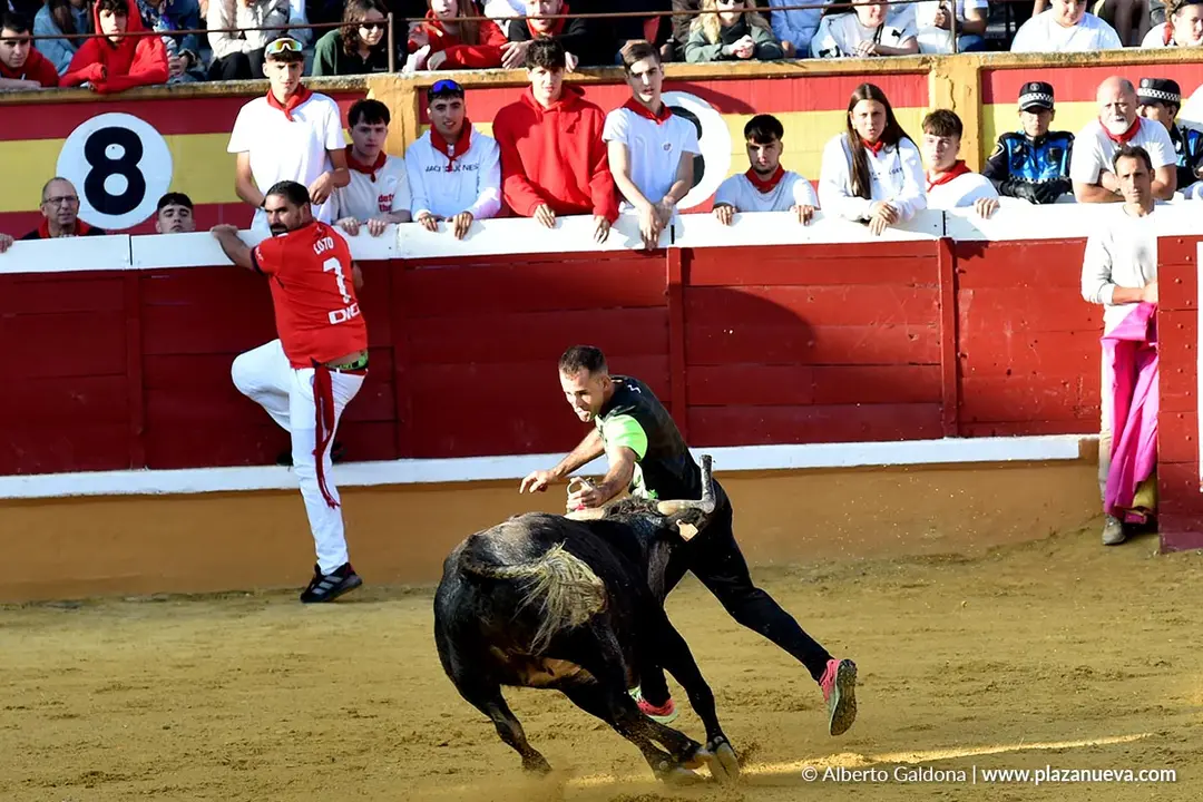 Suelta de vaquillas en Tudela d&iacute;a 26 2025 6