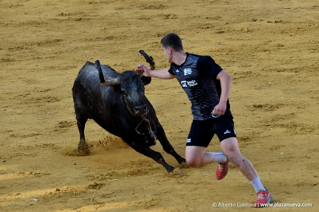 Suelta de vaquillas en Tudela d&iacute;a 26 2025 7