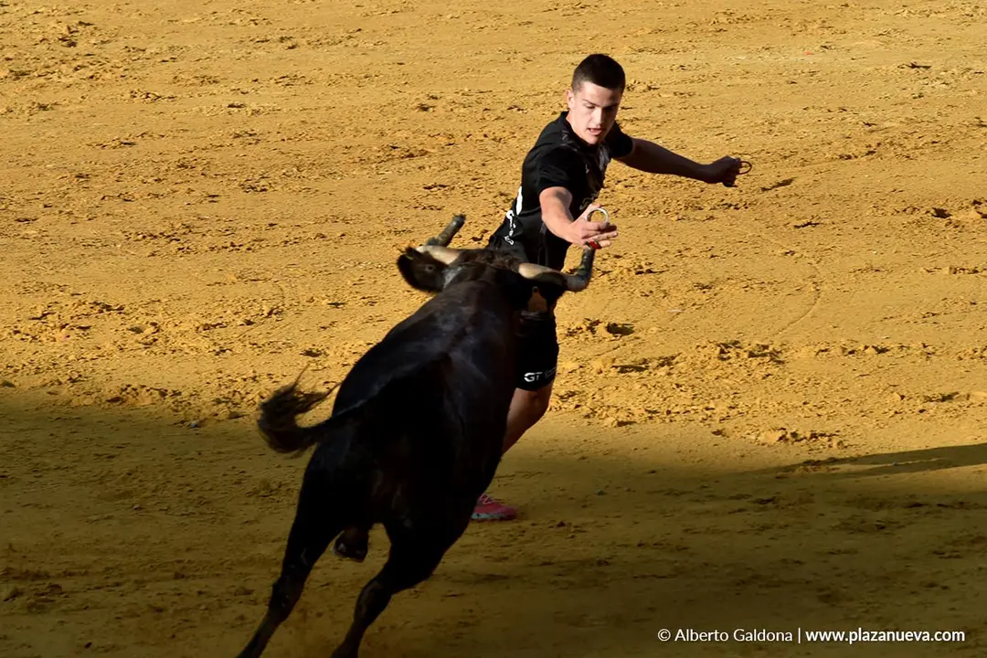 Suelta de vaquillas en Tudela d&iacute;a 26 2025 8