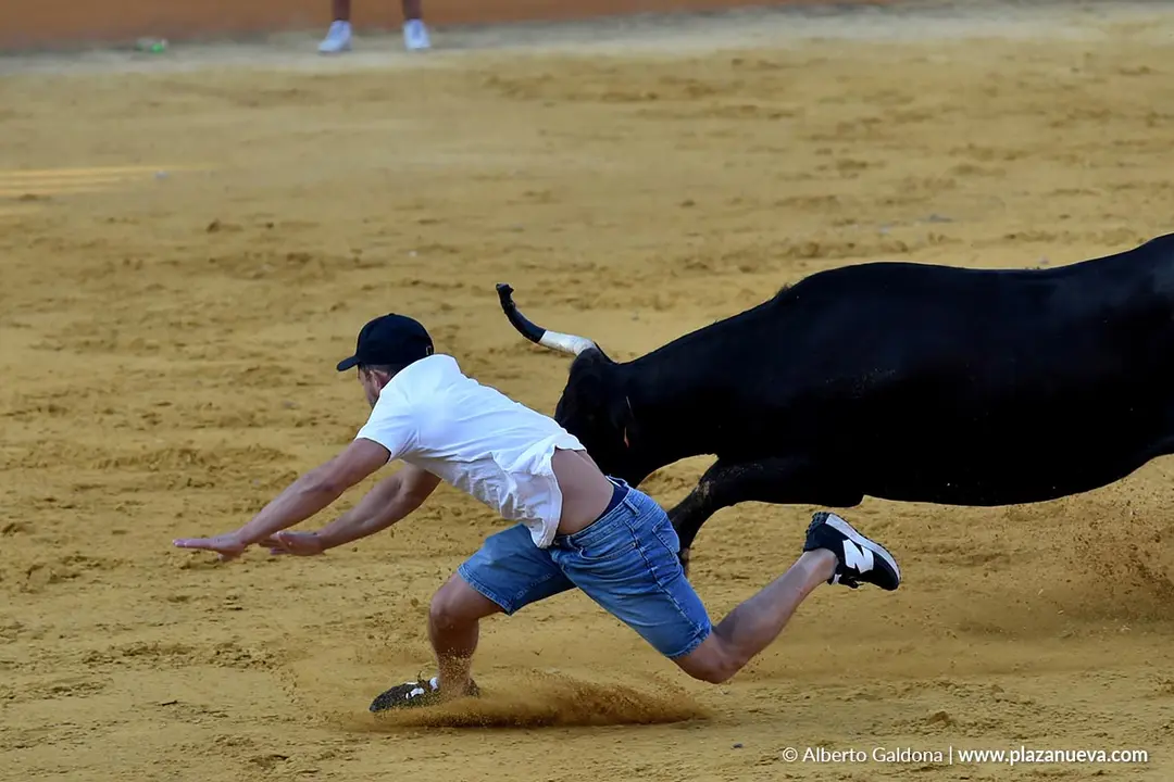Suelta de vaquillas en Tudela d&iacute;a 26 2025 9
