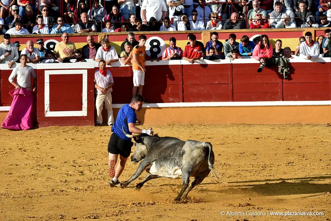 Suelta de vaquillas en Tudela d&iacute;a 26 2025 10