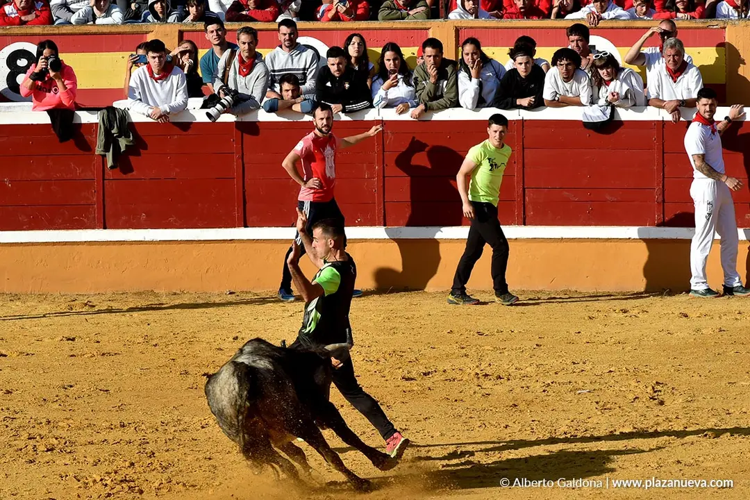 Suelta de vaquillas en Tudela d&iacute;a 26 2025 12