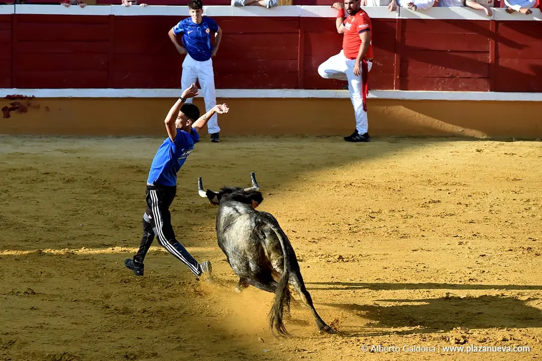 Suelta de vaquillas en Tudela d&iacute;a 26 2025 13