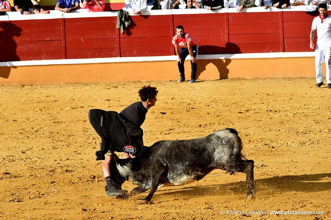 Suelta de vaquillas en Tudela d&iacute;a 26 2025 14