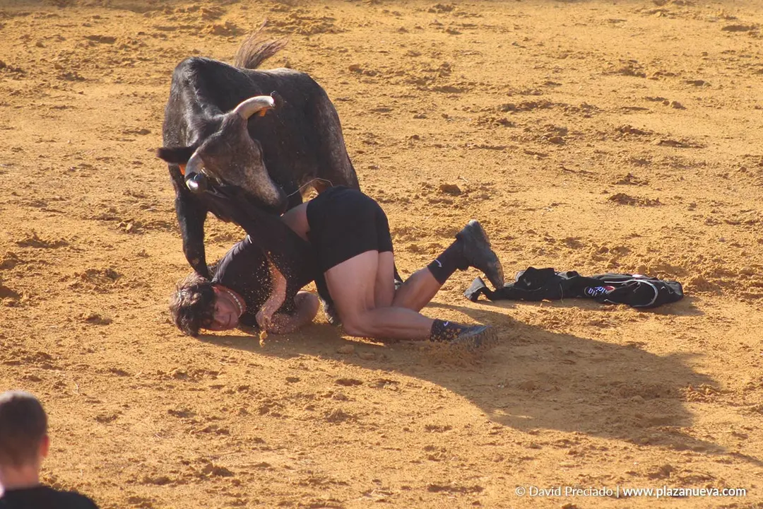 Suelta de vaquillas en Tudela d&iacute;a 26 2025 15