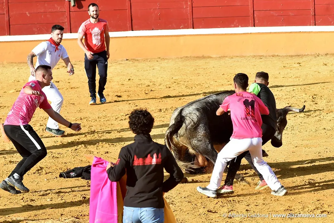 Suelta de vaquillas en Tudela d&iacute;a 26 2025 19