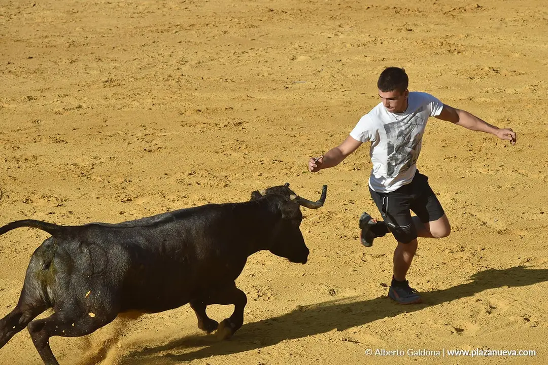 Suelta de vaquillas en Tudela d&iacute;a 26 2025 20