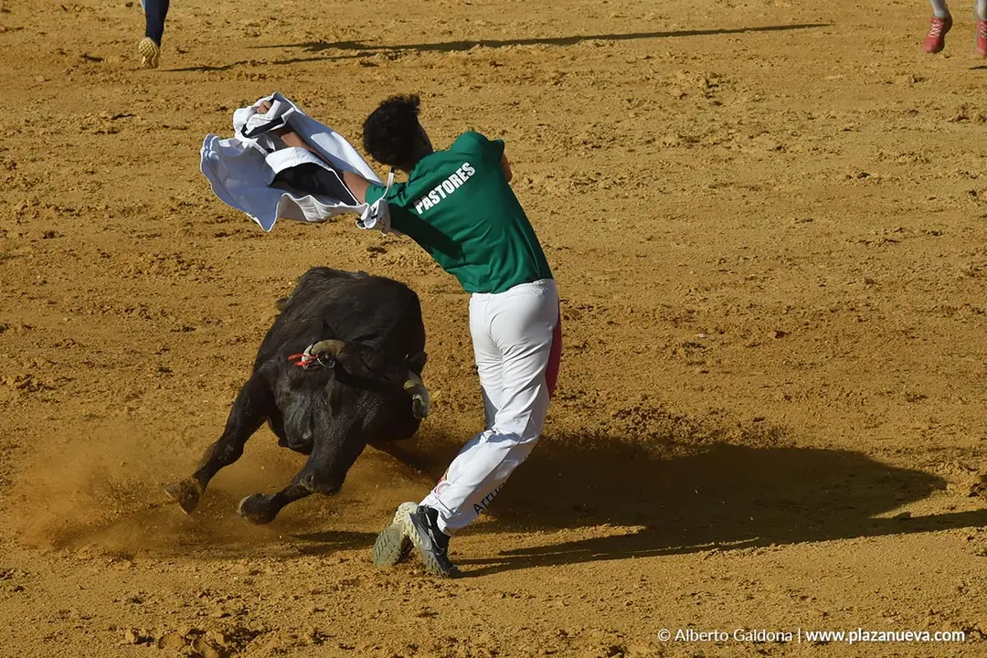 Suelta de vaquillas en Tudela d&iacute;a 26 2025 21