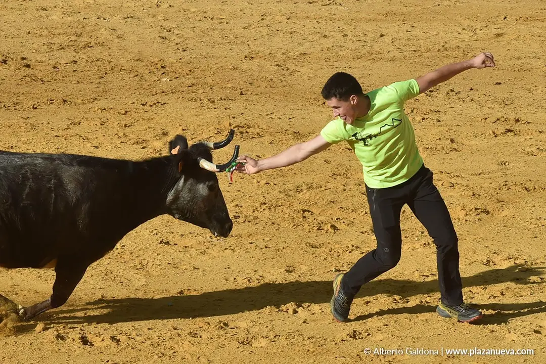 Suelta de vaquillas en Tudela d&iacute;a 26 2025 22