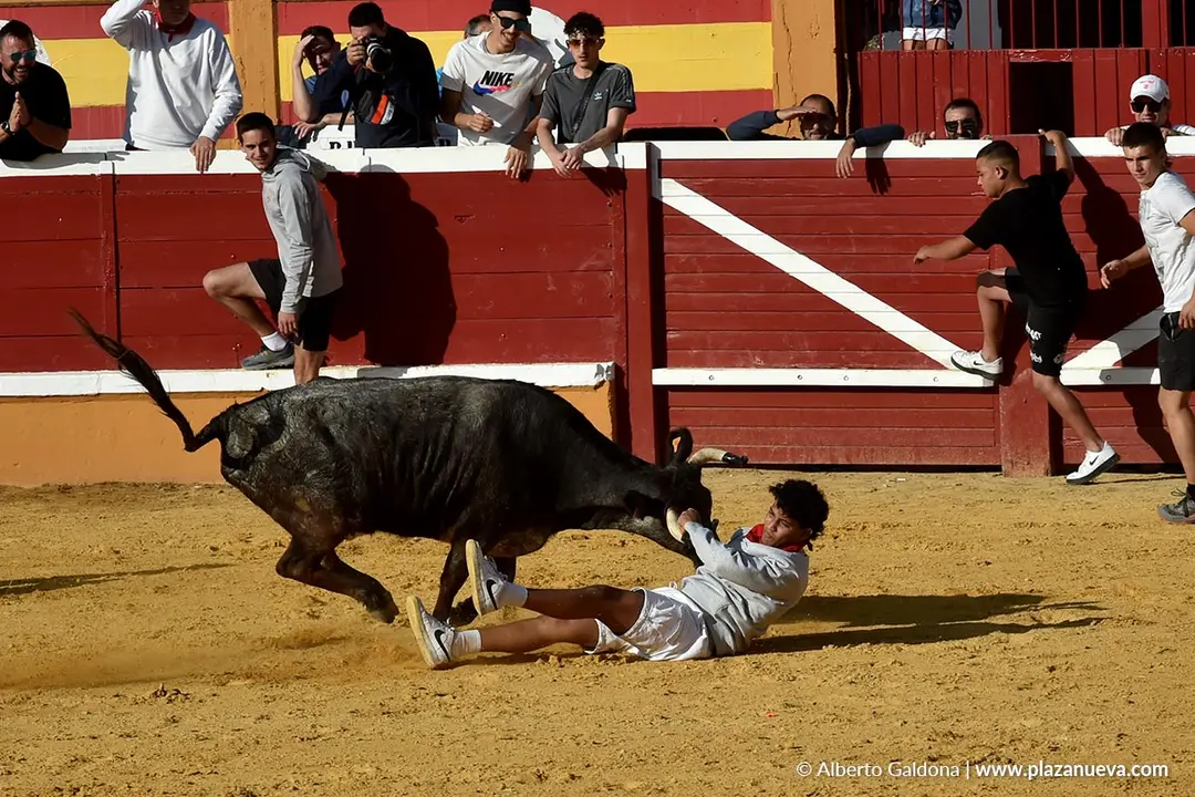 Suelta de vaquillas en Tudela d&iacute;a 26 2025 23
