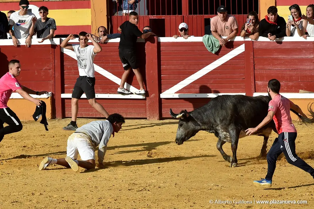 Suelta de vaquillas en Tudela d&iacute;a 26 2025 24