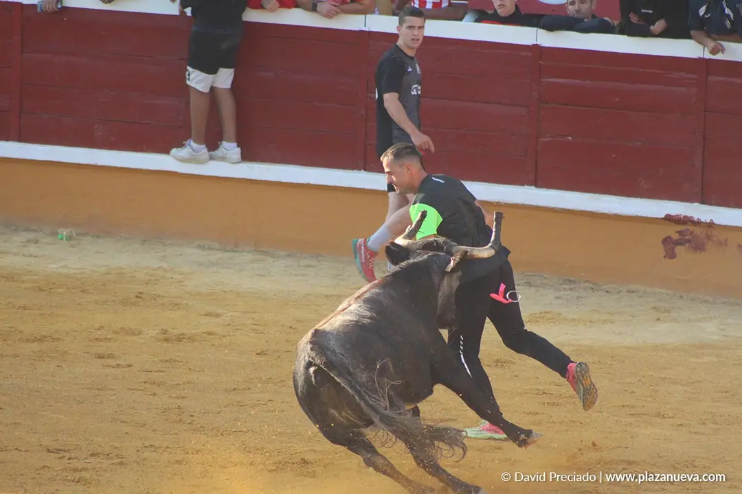 Suelta de vaquillas en Tudela d&iacute;a 26 2025 28