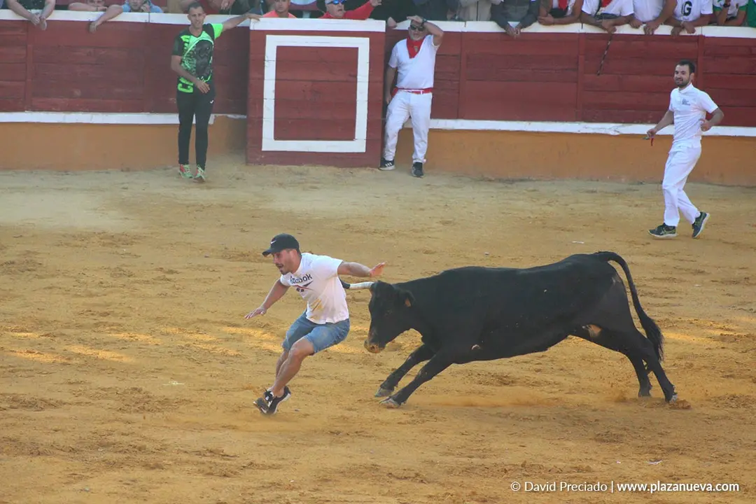 Suelta de vaquillas en Tudela d&iacute;a 26 2025 29