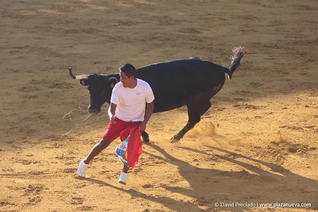 Suelta de vaquillas en Tudela d&iacute;a 26 2025 30