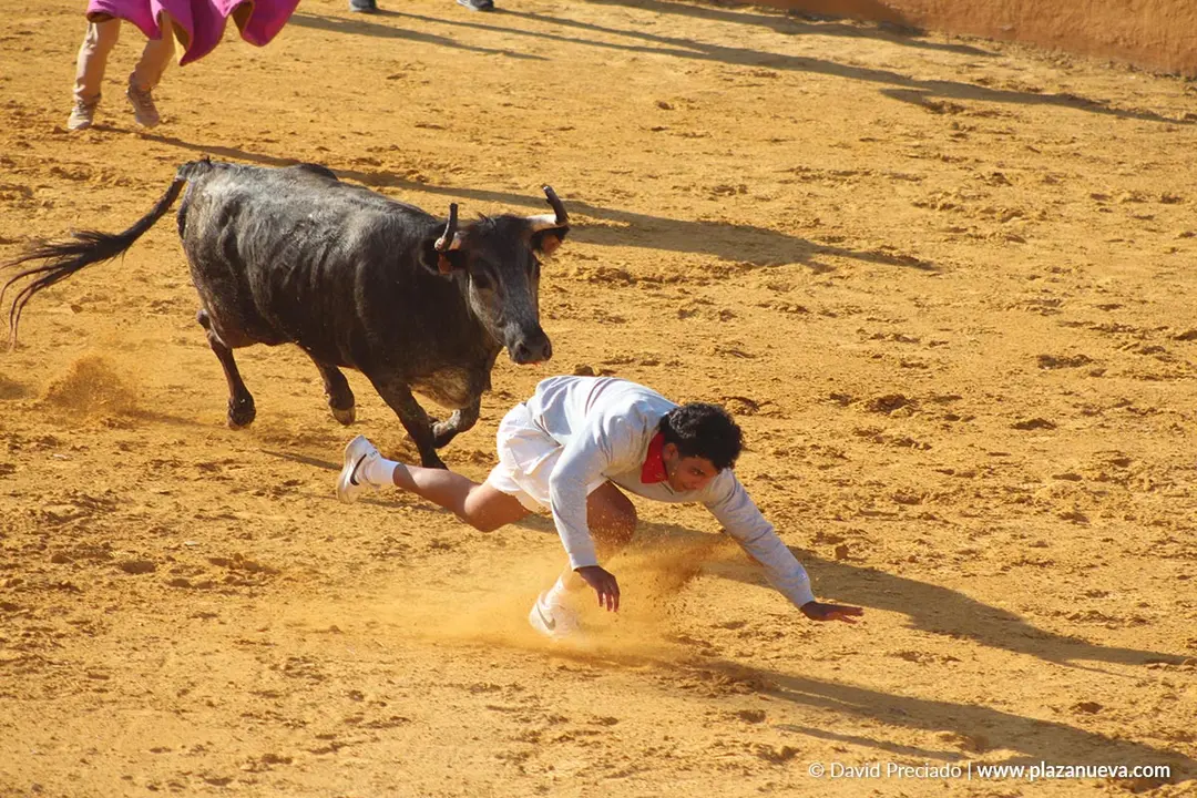 Suelta de vaquillas en Tudela d&iacute;a 26 2025 32