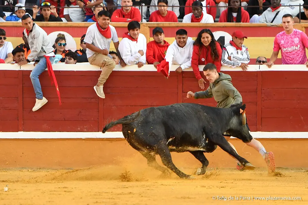 Suelta de vaquillas en Tudela d&iacute;a 26 2025 34