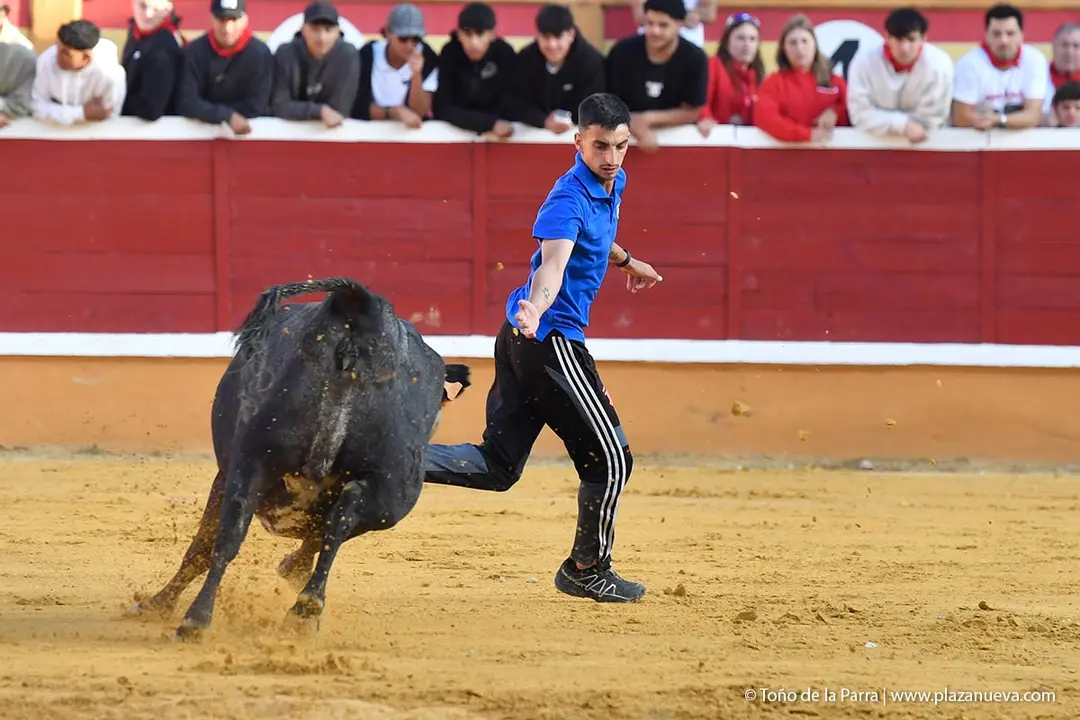 Suelta de vaquillas en Tudela d&iacute;a 26 2025 35