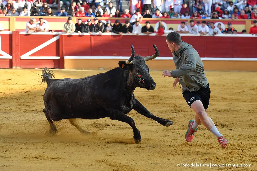 Suelta de vaquillas en Tudela d&iacute;a 26 2025 37