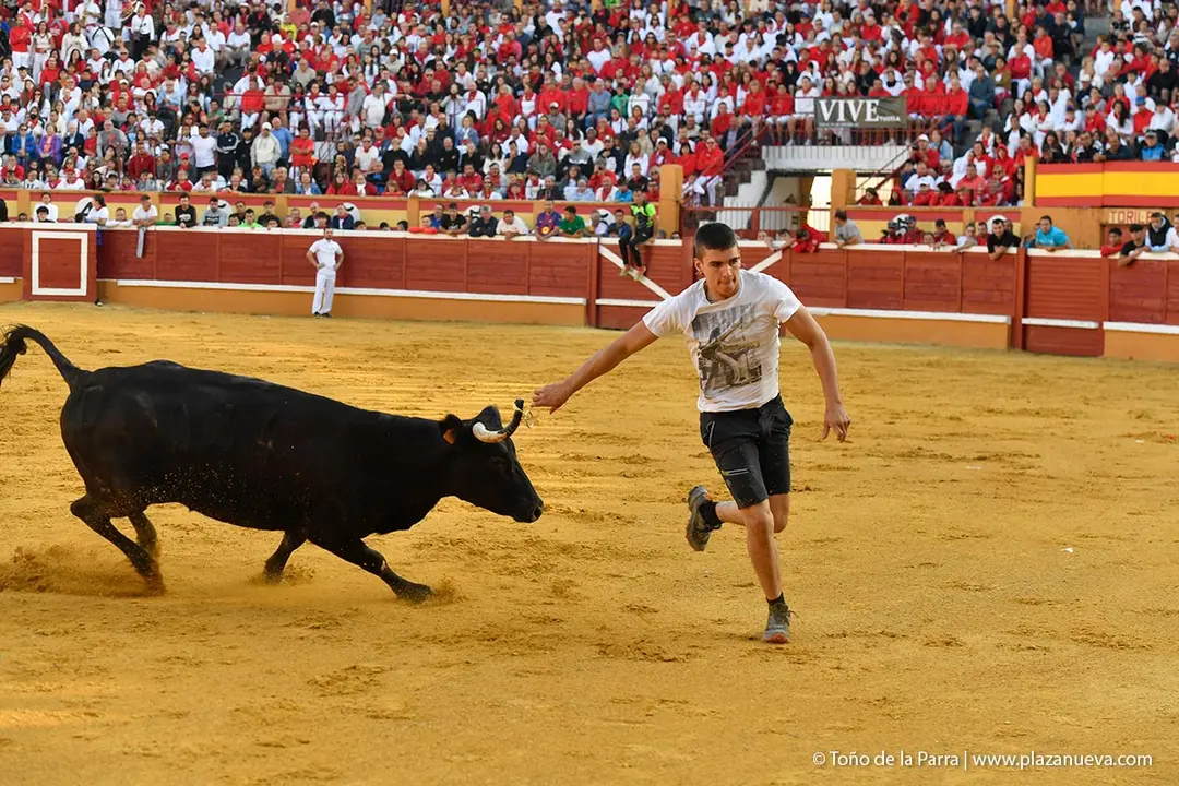 Suelta de vaquillas en Tudela d&iacute;a 26 2025 38