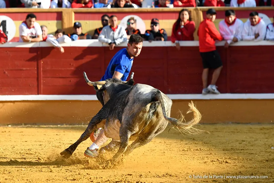Suelta de vaquillas en Tudela d&iacute;a 26 2025 39