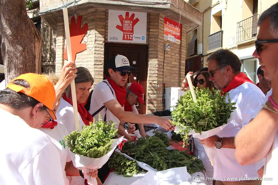 Procesi&oacute;n de Santa Ana Tudela 2025 1