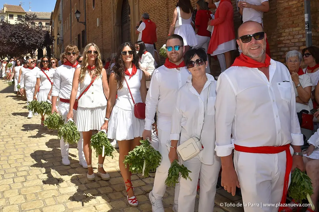Procesi&oacute;n de Santa Ana Tudela 2025 24