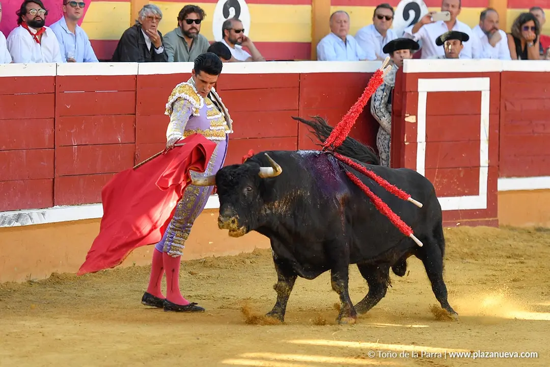 Corrida de toros en Tudela d&iacute;a 26 9