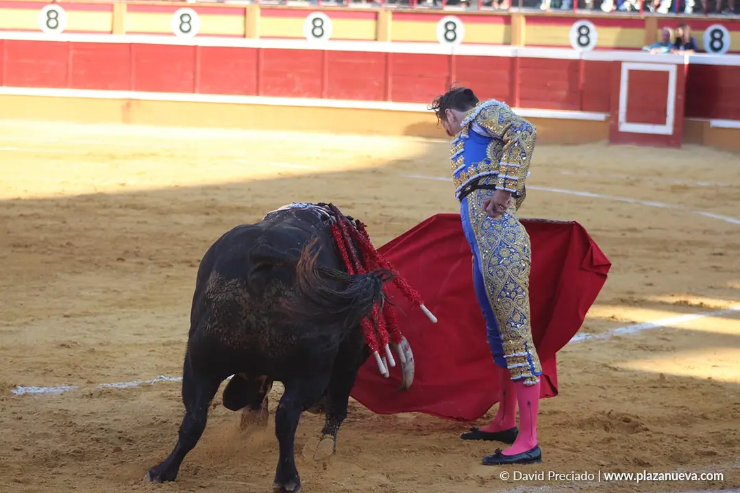 Corrida de toros en Tudela d&iacute;a 26 24