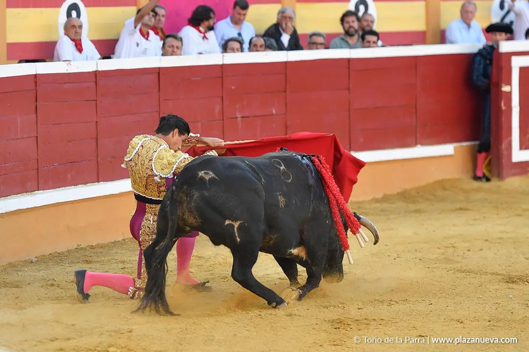 Corrida de toros en Tudela d&iacute;a 26 29