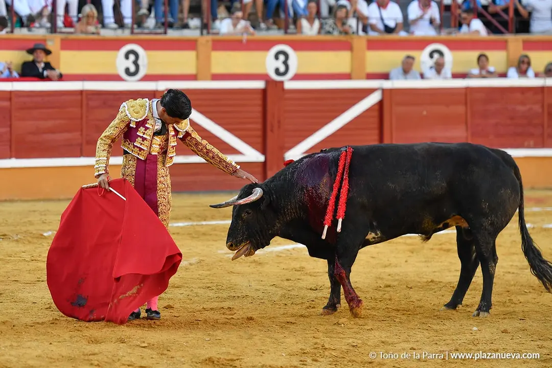 Corrida de toros en Tudela d&iacute;a 26 31