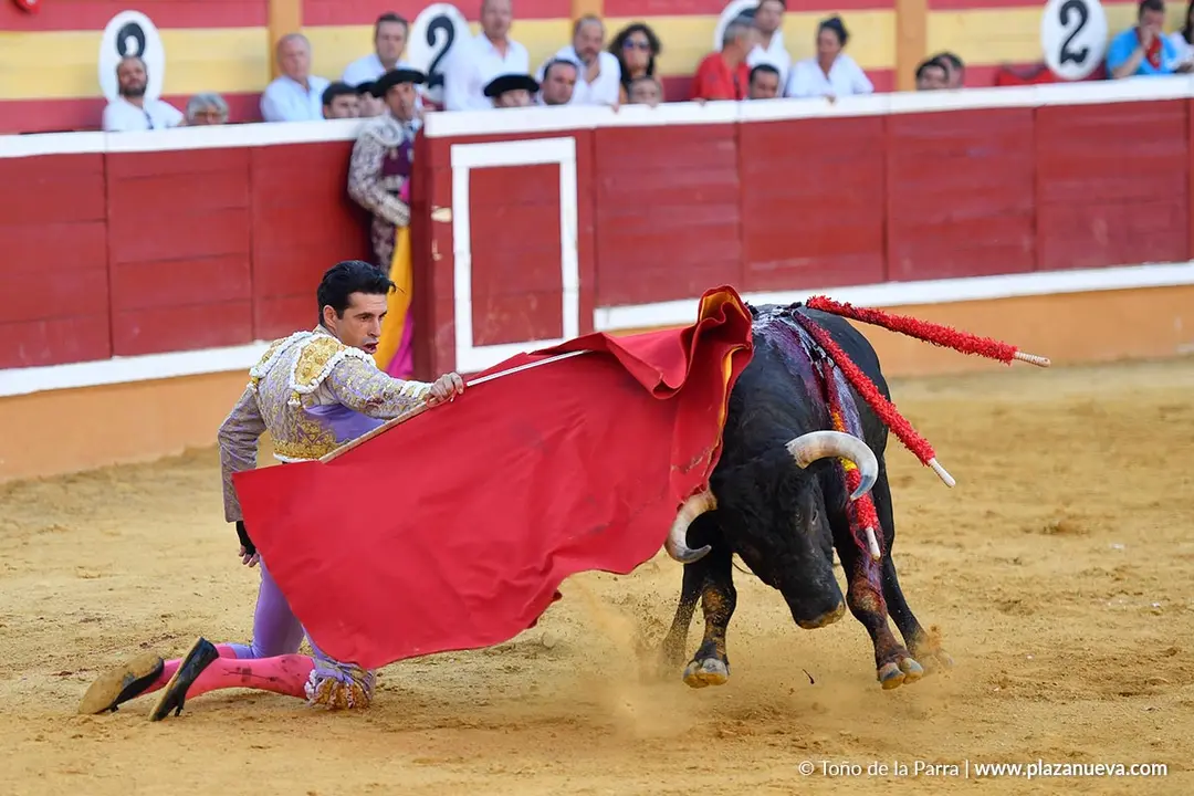 Corrida de toros en Tudela d&iacute;a 26 46