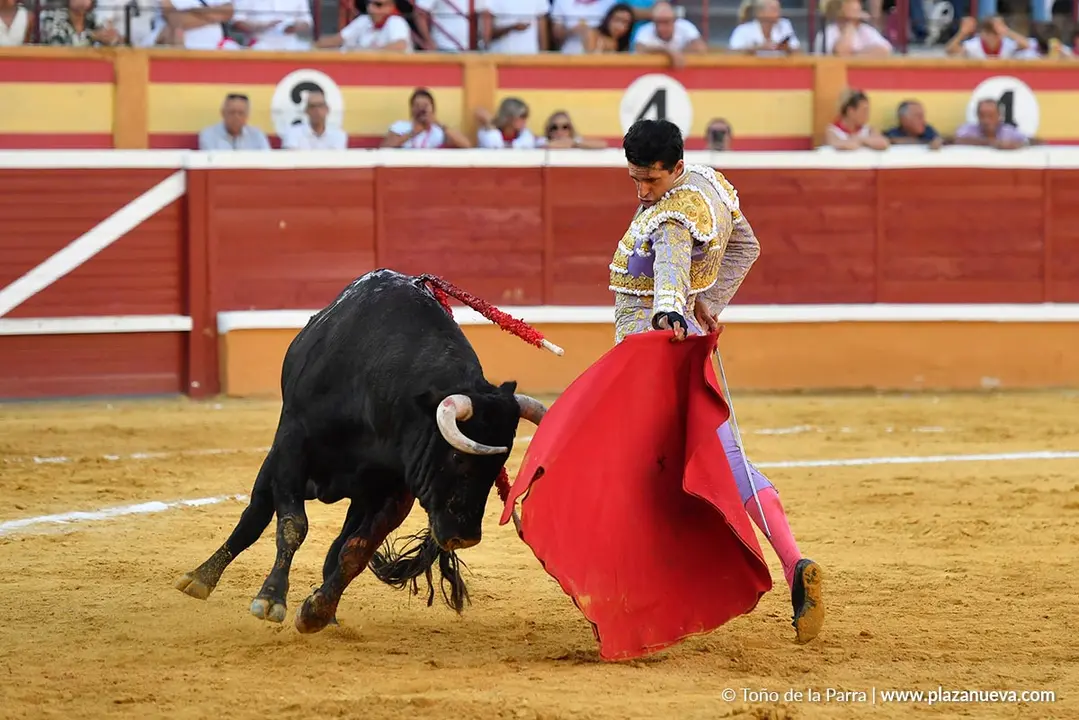 Corrida de toros en Tudela d&iacute;a 26 48