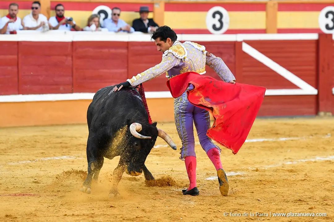 Corrida de toros en Tudela d&iacute;a 26 50