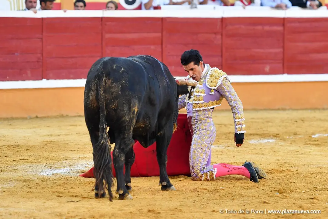 Corrida de toros en Tudela d&iacute;a 26 52