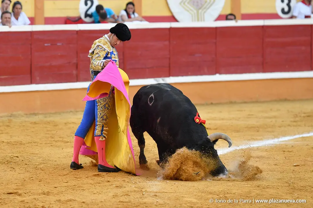 Corrida de toros en Tudela d&iacute;a 26 64