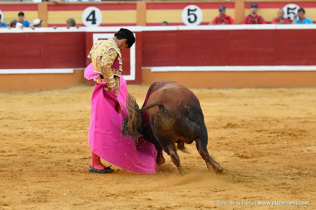 Corrida de toros en Tudela d&iacute;a 26 67