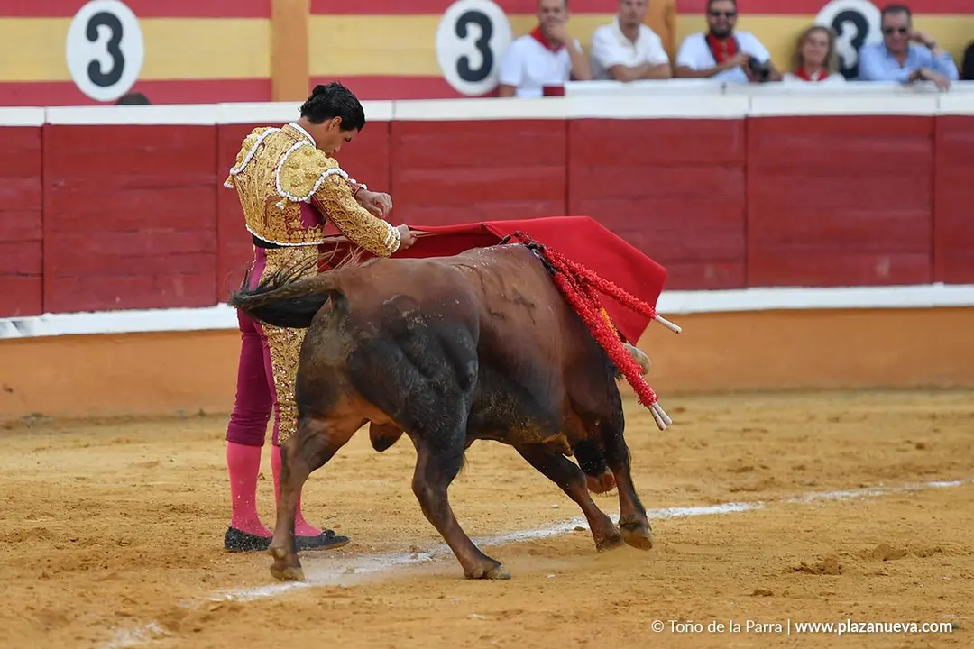 Corrida de toros en Tudela d&iacute;a 26 69
