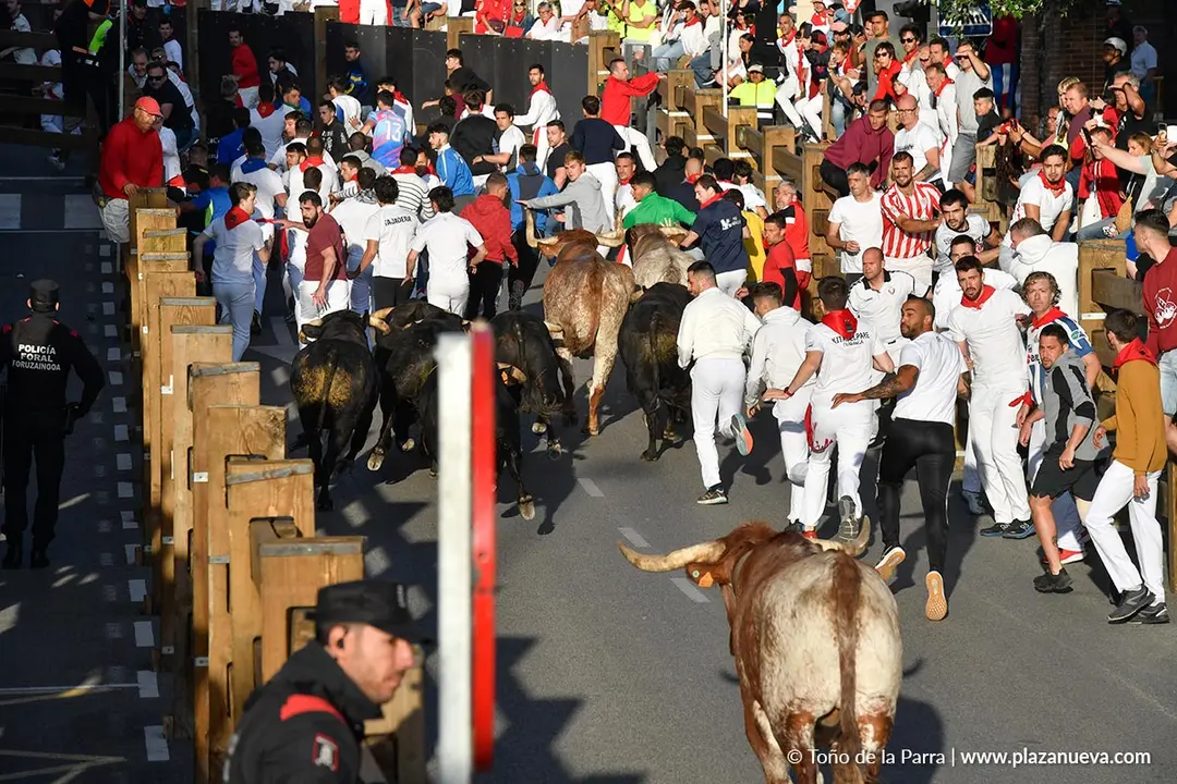Encierro de Tudela d&iacute;a 27 2025 14