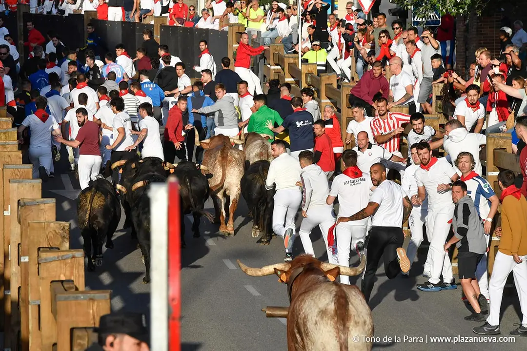 Encierro de Tudela d&iacute;a 27 2025 15