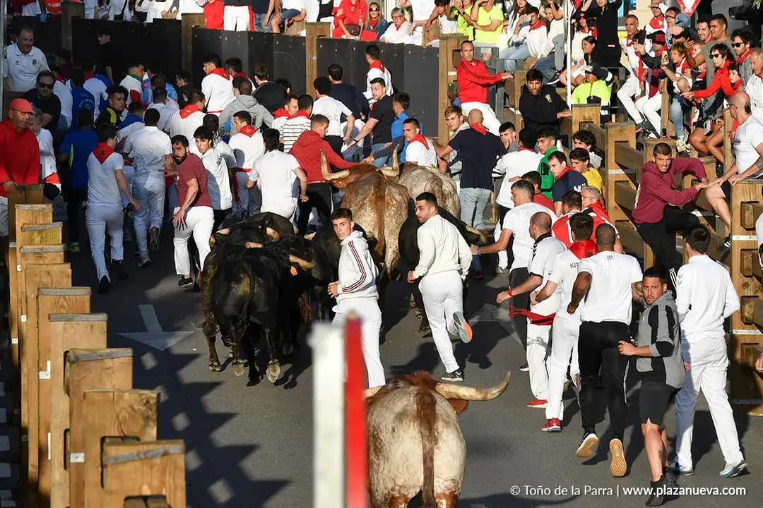 Encierro de Tudela d&iacute;a 27 2025 16