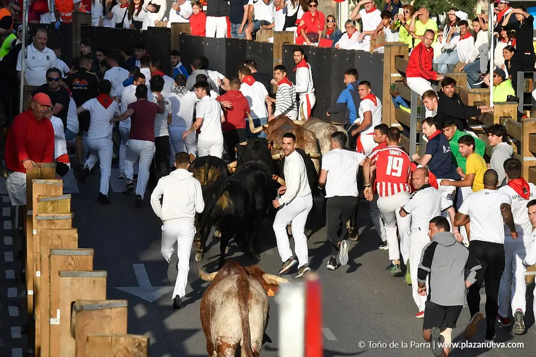 Encierro de Tudela d&iacute;a 27 2025 17