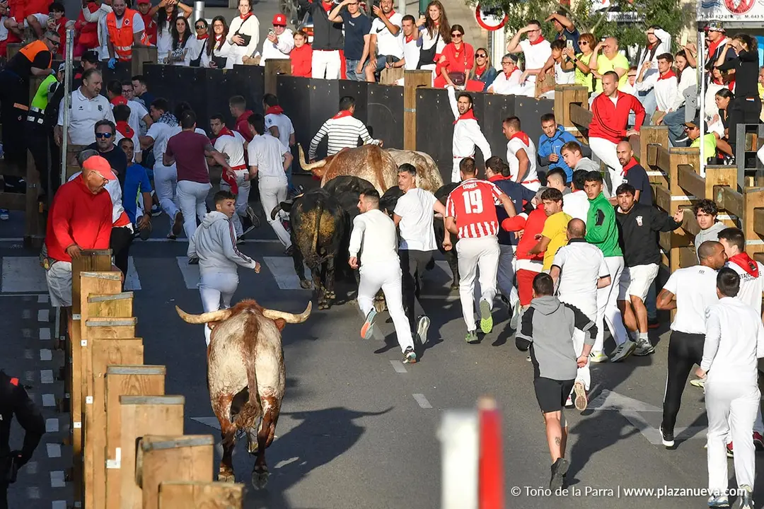 Encierro de Tudela d&iacute;a 27 2025 18