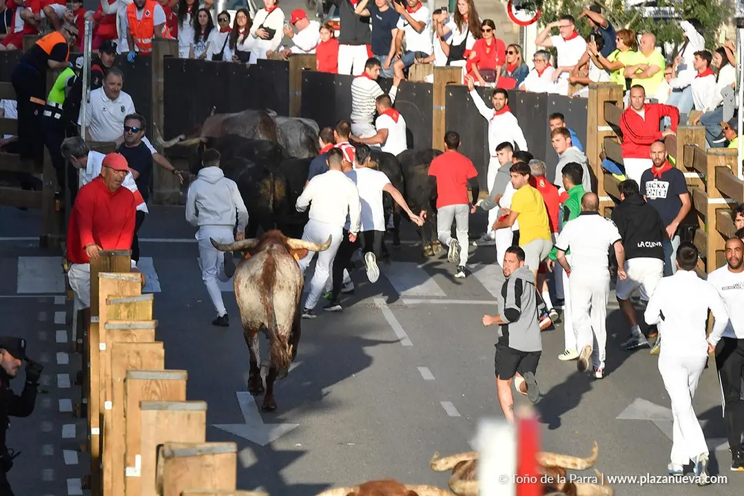 Encierro de Tudela d&iacute;a 27 2025 19
