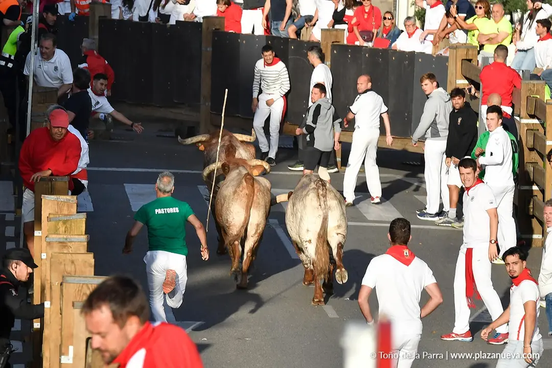Encierro de Tudela d&iacute;a 27 2025 22