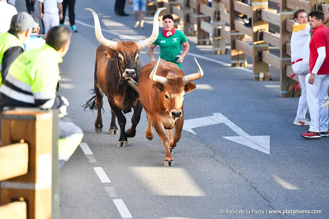 Encierro de Tudela d&iacute;a 27 2025 23