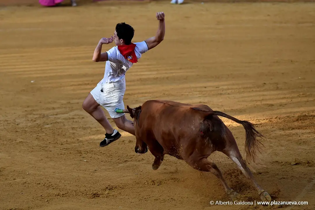 Suelta de vaquillas en Tudela d&iacute;a 27 2025 1